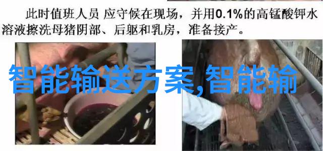 龙眼荔枝奇迹世界首个龙眼与荔枝杂交新品种亮相
