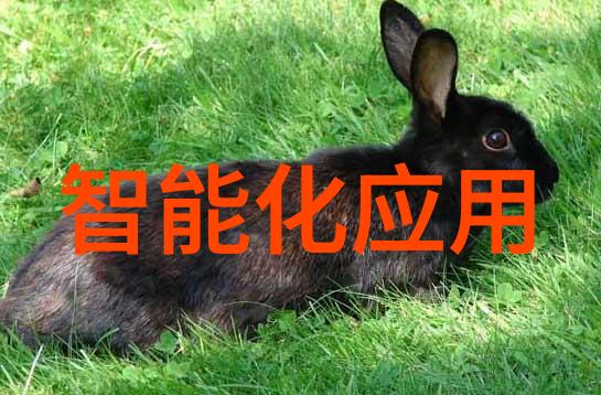 未来之光与旧梦残响