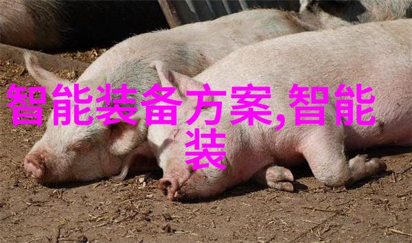 华为新款手机重塑智能生活的未来之冠