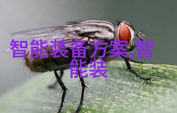 佳能新品发布会我亲眼见证的镜头魔力大揭秘