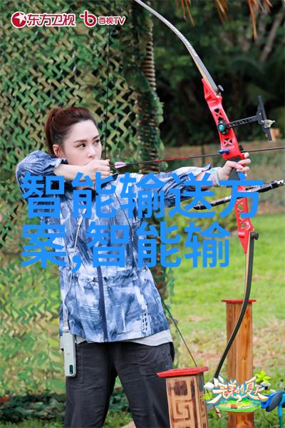 vivo新品发布会探秘最新科技与创新设计