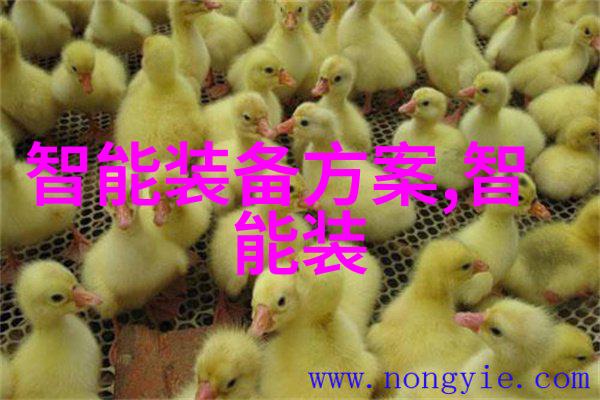 新品发布会我的独家探秘