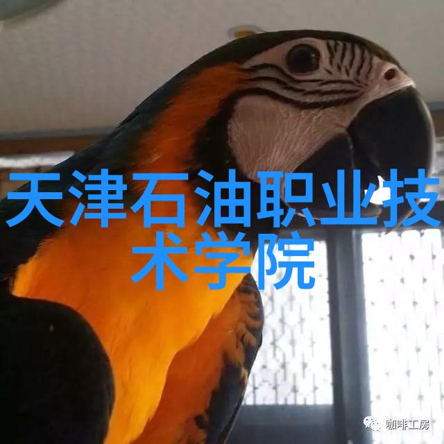 机械密封JTM系列