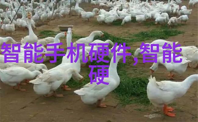 三星Galaxy新系列智能手机三星最新旗舰机型的科技革新